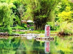 -靖西鹅泉风景区