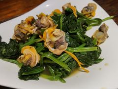 毛蛤喇菠菜-前海沿·青岛菜(大拇指广场石老人店)