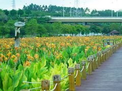 -那考河湿地公园