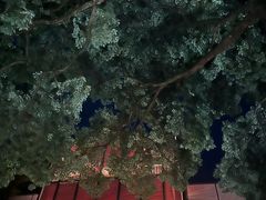 -九里云松·天香餐厅