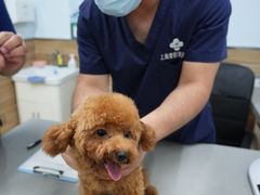 -爱侣宠医·鹦鹉专科·小型哺乳类·异宠专科(灵石路店)