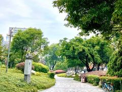 -神仙树公园