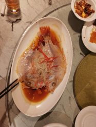 -新锦江大酒店·宴会厅·婚宴