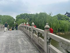 -南汇桃花村