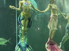 -龙谷湾旅游休闲度假区