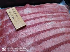 -诺莱仕游艇会
