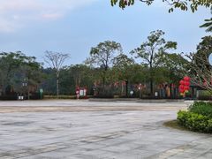 -广州白江湖森林公园