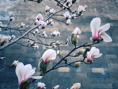 -东华门大街小区