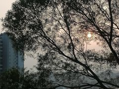 -鸿山公园