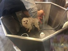 -PETKIT小佩宠物(古北店)