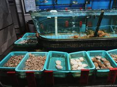 -海大大蒸汽海鲜餐厅·粤菜·特色小炒(欢乐颂店)