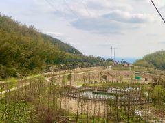 -影珠山