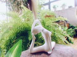 -花间禅净·瑜伽