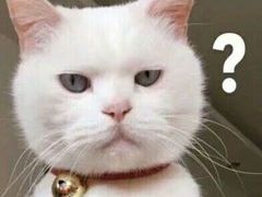 -胖姥姥·川湘闽菜(汕尾蓝天广场店)