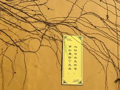 -西园戒幢律寺