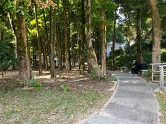 -广州市帽峰山景区
