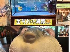 -肆月河豚·淮扬菜·湘菜(华天店)