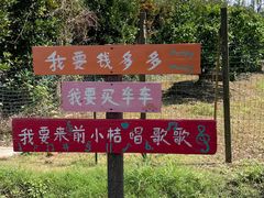 -前小桔亲子创意农场·草莓采摘·露营烧烤