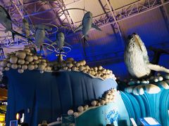 -烟台海昌鲸鲨海洋公园