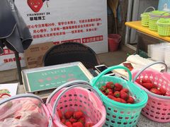 -大自然农场蔬菜草莓采摘园