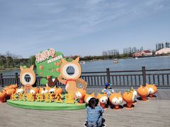 -上海长兴岛郊野公园