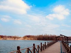 -溱湖国家湿地公园