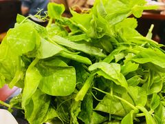 豌豆尖-老来福·非遗酸汤兔(凯旋路店)