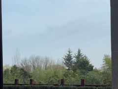 -悦椿温泉酒店·悦椿苑火锅餐厅