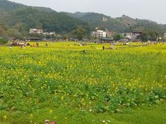 -红山村