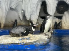 -太平洋海底世界