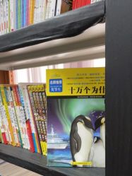 点击看大图 -同远超级童星亲子摄影(环球中心店)