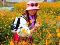 android_upload_pic-北京东方普罗旺斯薰衣草庄园