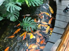 -上海大自然野生昆虫馆(东方明珠·爬宠昆虫探索中心)