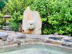 -中家鑫园温泉酒店鑫悦汤泉