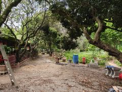 -荔枝园美食山庄(贞山风景区店)