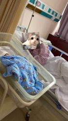 -复旦大学附属妇产科医院(杨浦院区)