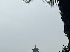 -铁山坪森林公园