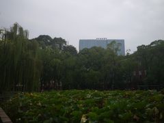 -四川大学(望江校区)