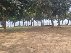 -深圳湾公园(南山区)