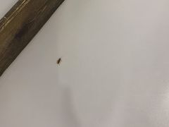-七爺清汤腩(南开大悦城店)