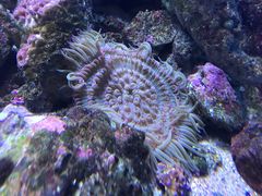 -西海国立公园九十九岛水族馆