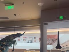 -雀蓝川菜(滨湖万象汇店)