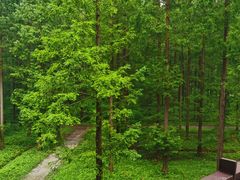 -黄海国家森林公园