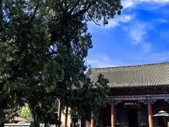 -黄帝陵
