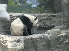 -鄂尔多斯野生动物园