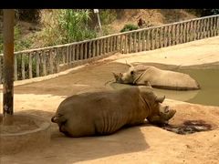 -泉州海丝野生动物世界