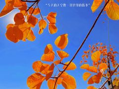 -云峰山自然风景区