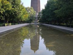 -玲珑塔公园