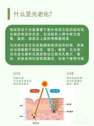 点击看大图 -玛莲朵·海菲秀冰珀科