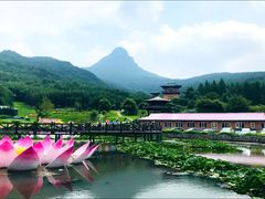 -帽儿山风景区